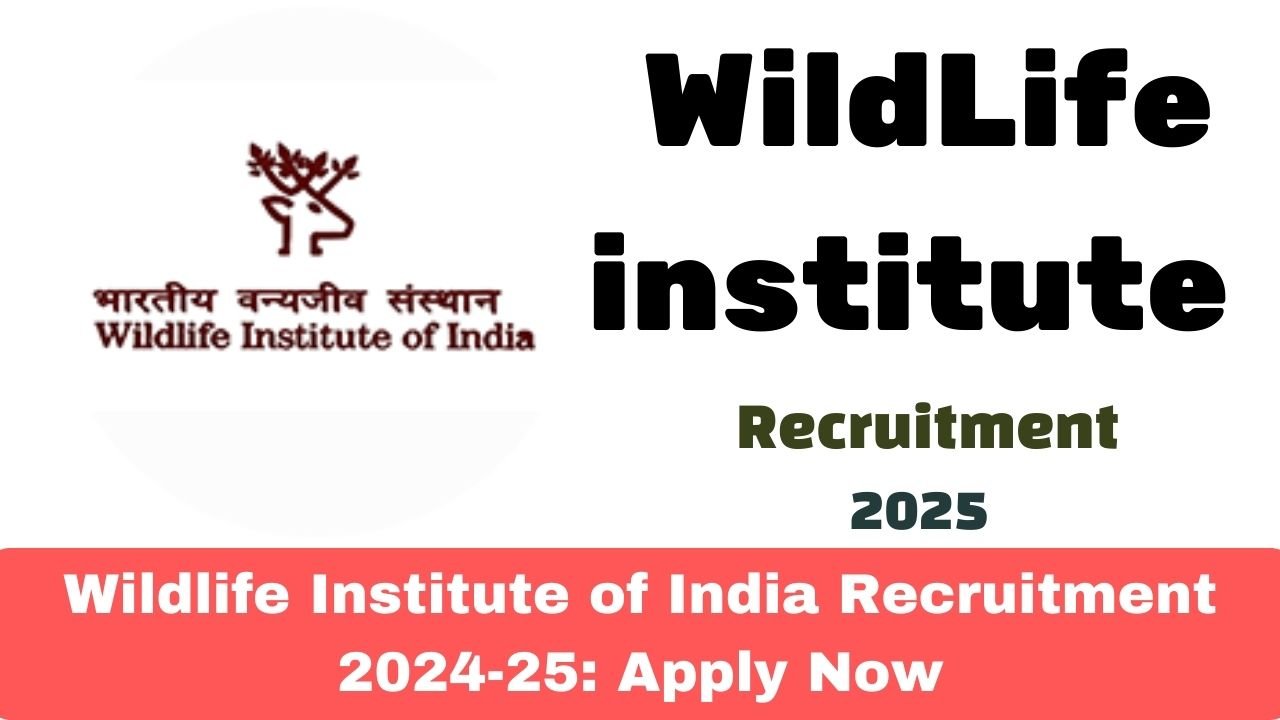 Wildlife Institute of India Recruitment 2024-25: Apply Now